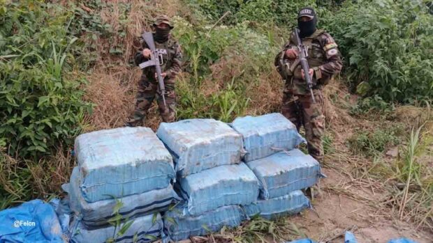 marihuana en operativo pluvial