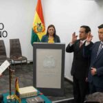 viceministros de seguridad