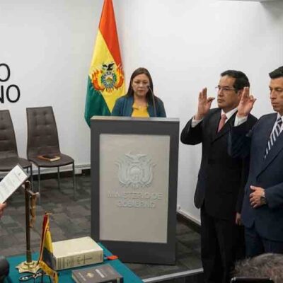 viceministros de seguridad
