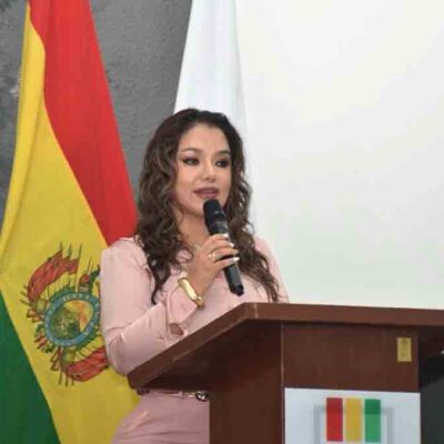vicepresidenta del TSE