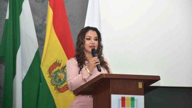vicepresidenta del TSE